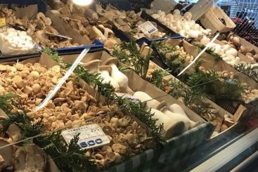 דירות לתיירים Apartamento Guggenheim Bilbao