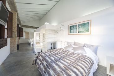 Apartamento Loft Romanilla Ii Centro Ciudad