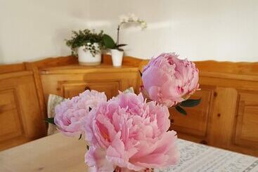 ツーリストアパートメント Fewo Schönes Ammertal