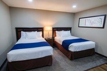 Motel Alexander