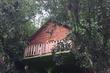 هتل Cabañas Y Casas Del árbol La Huerta