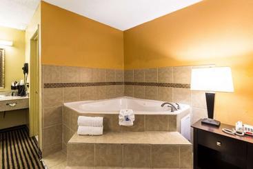 هتل Rodeway Inn Alexandria