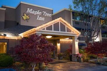 فندق Maple Tree Inn