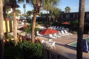Magic Tree Resort