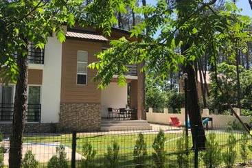 Sweet Home 2 In Shekvetili - Shekvetili