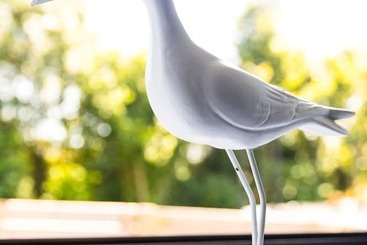 פנסיון A La Ferme City Break & Spa