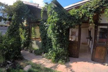 تختخواب و صبحانه Pura Vida Hostel