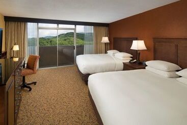 אתר נופש The Park Vista   A Doubletree By Hilton Hotel   Gatlinburg