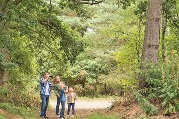 استراحتگاه Tilford Woods Lodge Retreat