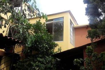 تختخواب و صبحانه Garden House Miraflores