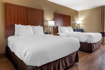 酒店 Comfort Inn Birmingham Homewood