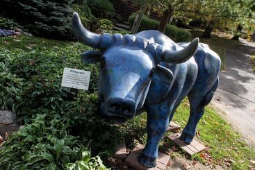 ホテル Ruttger S Bay Lake Resort