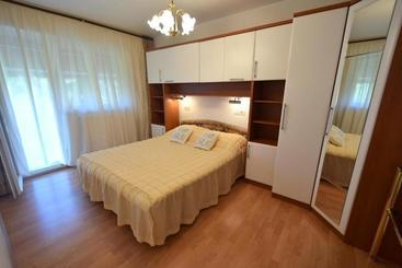 Apartment Micetic