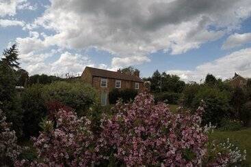 The Vine B & B