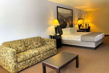 汽车旅馆  Hill Country Inn & Suites   New Braunfels, Gruene