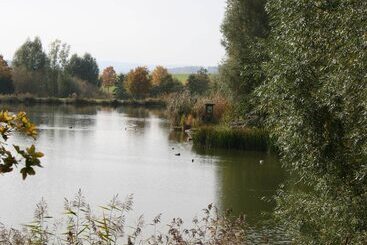 ツーリストアパートメント Apartment Near The Nurburgring With Terrace