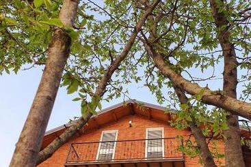 پانسیون Borealis Guest House