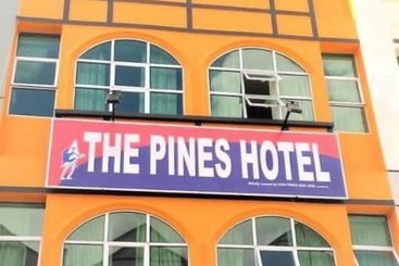 فندق The Pines