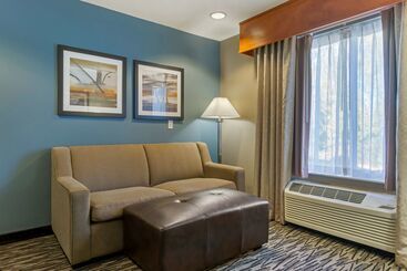 فندق Best Western Plus Mountain View Auburn Inn