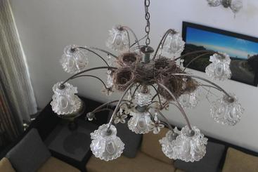 צימר Bird S Nest By Natures Bliss