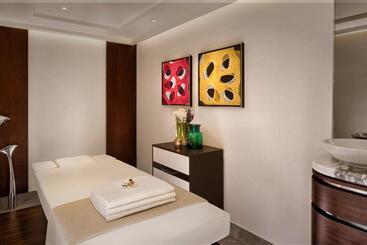 בית מלון כפרי The Ritzcarlton, Budapest