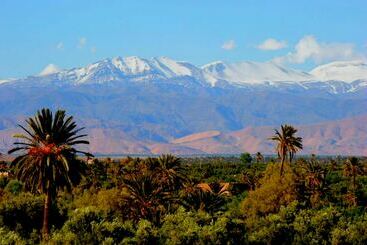هتل Aramja Luxury Camp