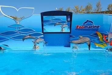 Appartment Rio By Garvetur