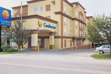 Отель Comfort Inn & Suites University
