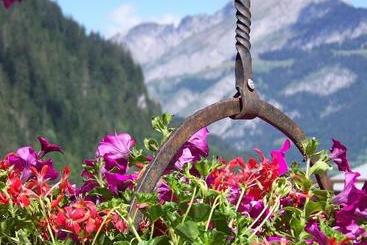 هتل Hôtel Belalp