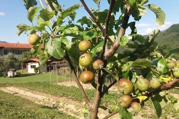בית מלון כפרי Agriturismo Cà Del Lupo