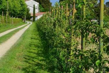 هتل روستایی Agriturismo Al Podere Di Rosa