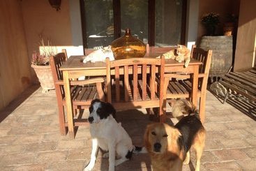 تختخواب و صبحانه Casa De  Trinci