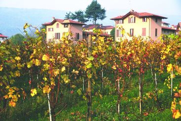 교외 호텔 Ricci Curbastro Agriturismo