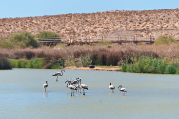 Villas Barrocal