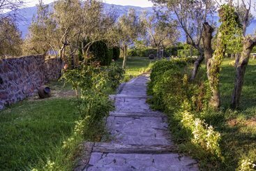 Assos Dionysos Hotel Special Class   Adults Only
