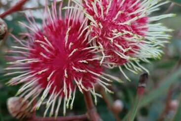 膳宿费 Beaumaris Beach Guest House