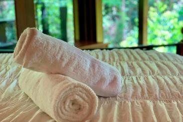 تختخواب و صبحانه Cairns Rainforest Retreat