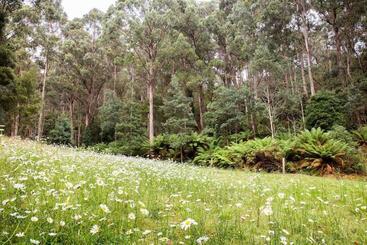 민박 Herons Rise Vineyard Accommodation