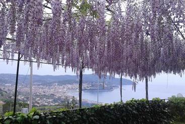 تختخواب و صبحانه La Roccia