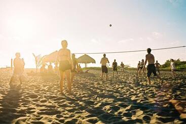 هاستل Surfing Turtle Lodge