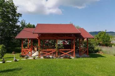 Nárcisz B&b