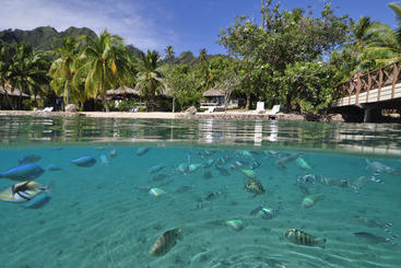 هتل Intercontinental Moorea Resort & Spa