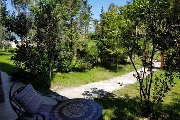 Dreamland Oasis 7 Chakvi