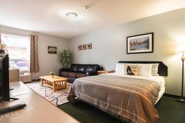 فندق Mountain View Inn