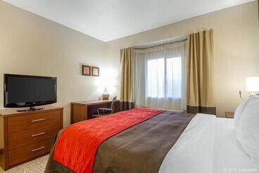 The Atrium Hotel   Sfo Airport Free!   Shuttle Bus   Parking   Wifi