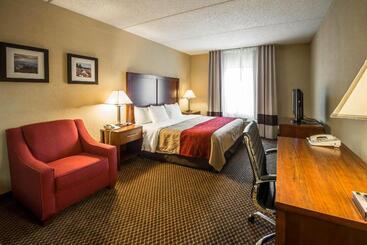ホテル Comfort Inn & Suites