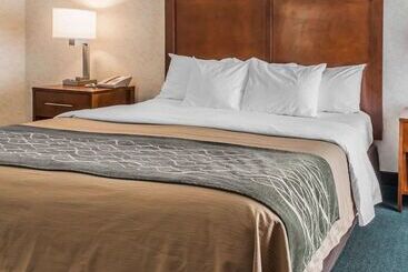 ホテル Quality Inn