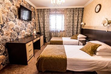 فندق فئة نجمة واحدة Art