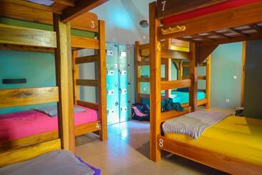 Pipes Hostel