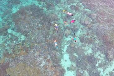 فندق Murex Bangka Dive Resort